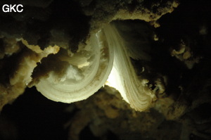 Grotte de Pixiaodong 皮硝洞 - réseau de Shuanghedong 双河洞 - (Wenquan, Suiyang 绥阳, Zunyi 遵义市, Guizhou 贵州省, Chine 中国).
