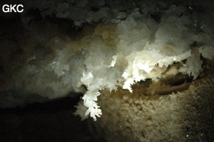 Grotte de Pixiaodong 皮硝洞 - réseau de Shuanghedong 双河洞 - (Wenquan, Suiyang 绥阳, Zunyi 遵义市, Guizhou 贵州省, Chine 中国).