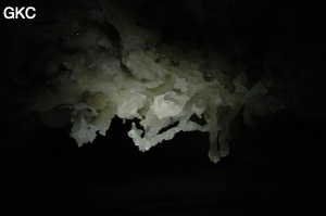 Grotte de Pixiaodong 皮硝洞 - réseau de Shuanghedong 双河洞 - (Wenquan, Suiyang 绥阳, Zunyi 遵义市, Guizhou 贵州省, Chine 中国).