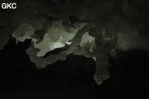 Grotte de Pixiaodong 皮硝洞 - réseau de Shuanghedong 双河洞 - (Wenquan, Suiyang 绥阳, Zunyi 遵义市, Guizhou 贵州省, Chine 中国).