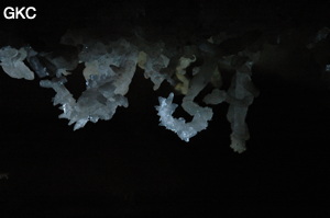 Grotte de Pixiaodong 皮硝洞 - réseau de Shuanghedong 双河洞 - (Wenquan, Suiyang 绥阳, Zunyi 遵义市, Guizhou 贵州省, Chine 中国).