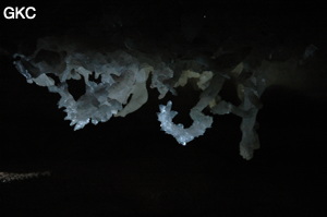Grotte de Pixiaodong 皮硝洞 - réseau de Shuanghedong 双河洞 - (Wenquan, Suiyang 绥阳, Zunyi 遵义市, Guizhou 贵州省, Chine 中国).