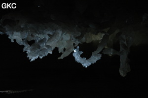 Grotte de Pixiaodong 皮硝洞 - réseau de Shuanghedong 双河洞 - (Wenquan, Suiyang 绥阳, Zunyi 遵义市, Guizhou 贵州省, Chine 中国).