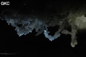 Grotte de Pixiaodong 皮硝洞 - réseau de Shuanghedong 双河洞 - (Wenquan, Suiyang 绥阳, Zunyi 遵义市, Guizhou 贵州省, Chine 中国).