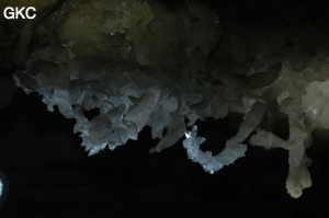 Grotte de Pixiaodong 皮硝洞 - réseau de Shuanghedong 双河洞 - (Wenquan, Suiyang 绥阳, Zunyi 遵义市, Guizhou 贵州省, Chine 中国).