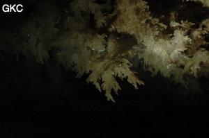 Grotte de Pixiaodong 皮硝洞 - réseau de Shuanghedong 双河洞 - (Wenquan, Suiyang 绥阳, Zunyi 遵义市, Guizhou 贵州省, Chine 中国).