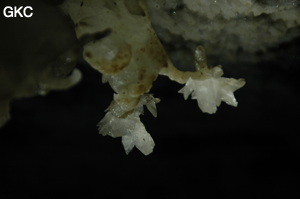 Grotte de Pixiaodong 皮硝洞 - réseau de Shuanghedong 双河洞 - (Wenquan, Suiyang 绥阳, Zunyi 遵义市, Guizhou 贵州省, Chine 中国).