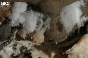 Cheveux d'ange ou coton de gypse dans la Grotte de Pixiaodong 皮硝洞 - réseau de Shuanghedong 双河洞 - (Wenquan, Suiyang 绥阳, Zunyi 遵义市, Guizhou 贵州省, Chine 中国).