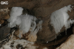 Cheveux d'ange ou coton de gypse dans la Grotte de Pixiaodong 皮硝洞 - réseau de Shuanghedong 双河洞 - (Wenquan, Suiyang 绥阳, Zunyi 遵义市, Guizhou 贵州省, Chine 中国).