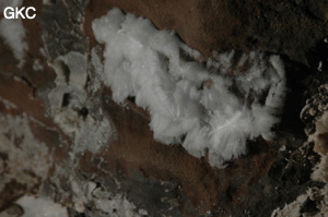 Grotte de Pixiaodong 皮硝洞 - réseau de Shuanghedong 双河洞 - (Wenquan, Suiyang 绥阳, Zunyi 遵义市, Guizhou 贵州省, Chine 中国).