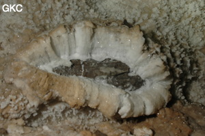 Grotte de Pixiaodong 皮硝洞 - réseau de Shuanghedong 双河洞 - (Wenquan, Suiyang 绥阳, Zunyi 遵义市, Guizhou 贵州省, Chine 中国).