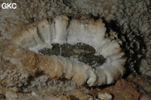 Grotte de Pixiaodong 皮硝洞 - réseau de Shuanghedong 双河洞 - (Wenquan, Suiyang 绥阳, Zunyi 遵义市, Guizhou 贵州省, Chine 中国).