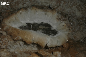 Grotte de Pixiaodong 皮硝洞 - réseau de Shuanghedong 双河洞 - (Wenquan, Suiyang 绥阳, Zunyi 遵义市, Guizhou 贵州省, Chine 中国).