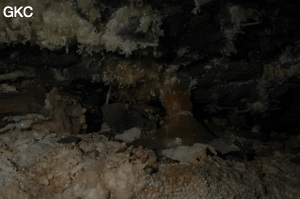 Grotte de Pixiaodong 皮硝洞 - réseau de Shuanghedong 双河洞 - (Wenquan, Suiyang 绥阳, Zunyi 遵义市, Guizhou 贵州省, Chine 中国).