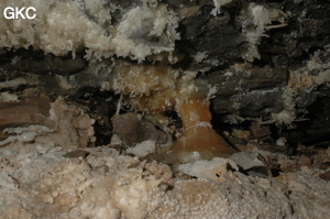 Grotte de Pixiaodong 皮硝洞 - réseau de Shuanghedong 双河洞 - (Wenquan, Suiyang 绥阳, Zunyi 遵义市, Guizhou 贵州省, Chine 中国).