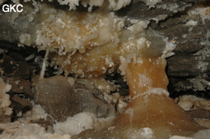 Grotte de Pixiaodong 皮硝洞 - réseau de Shuanghedong 双河洞 - (Wenquan, Suiyang 绥阳, Zunyi 遵义市, Guizhou 贵州省, Chine 中国).