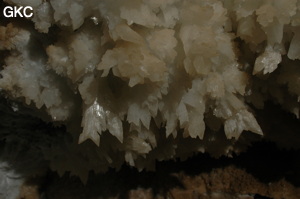 Grotte de Pixiaodong 皮硝洞 - réseau de Shuanghedong 双河洞 - (Wenquan, Suiyang 绥阳, Zunyi 遵义市, Guizhou 贵州省, Chine 中国).