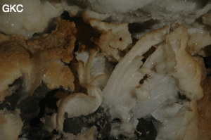 Grotte de Pixiaodong 皮硝洞 - réseau de Shuanghedong 双河洞 - (Wenquan, Suiyang 绥阳, Zunyi 遵义市, Guizhou 贵州省, Chine 中国).