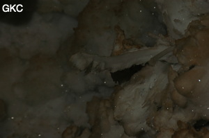Grotte de Pixiaodong 皮硝洞 - réseau de Shuanghedong 双河洞 - (Wenquan, Suiyang 绥阳, Zunyi 遵义市, Guizhou 贵州省, Chine 中国).