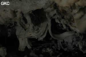 Grotte de Pixiaodong 皮硝洞 - réseau de Shuanghedong 双河洞 - (Wenquan, Suiyang 绥阳, Zunyi 遵义市, Guizhou 贵州省, Chine 中国).