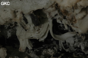 Grotte de Pixiaodong 皮硝洞 - réseau de Shuanghedong 双河洞 - (Wenquan, Suiyang 绥阳, Zunyi 遵义市, Guizhou 贵州省, Chine 中国).
