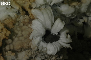 Fleur de gypse dans la Grotte de Pixiaodong 皮硝洞 - réseau de Shuanghedong 双河洞 - (Wenquan, Suiyang 绥阳, Zunyi 遵义市, Guizhou 贵州省, Chine 中国).