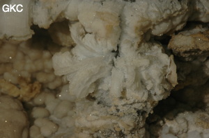 Grotte de Pixiaodong 皮硝洞 - réseau de Shuanghedong 双河洞 - (Wenquan, Suiyang 绥阳, Zunyi 遵义市, Guizhou 贵州省, Chine 中国).