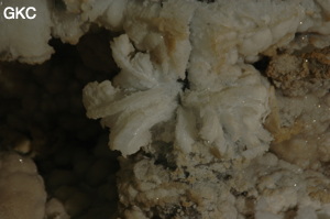 Grotte de Pixiaodong 皮硝洞 - réseau de Shuanghedong 双河洞 - (Wenquan, Suiyang 绥阳, Zunyi 遵义市, Guizhou 贵州省, Chine 中国).