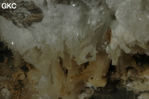 Grotte de Pixiaodong 皮硝洞 - réseau de Shuanghedong 双河洞 - (Wenquan, Suiyang 绥阳, Zunyi 遵义市, Guizhou 贵州省, Chine 中国).
