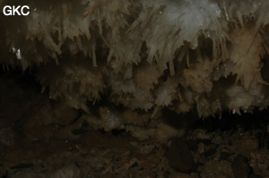 Grotte de Pixiaodong 皮硝洞 - réseau de Shuanghedong 双河洞 - (Wenquan, Suiyang 绥阳, Zunyi 遵义市, Guizhou 贵州省, Chine 中国).