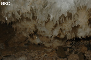 Grotte de Pixiaodong 皮硝洞 - réseau de Shuanghedong 双河洞 - (Wenquan, Suiyang 绥阳, Zunyi 遵义市, Guizhou 贵州省, Chine 中国).