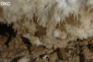 Grotte de Pixiaodong 皮硝洞 - réseau de Shuanghedong 双河洞 - (Wenquan, Suiyang 绥阳, Zunyi 遵义市, Guizhou 贵州省, Chine 中国).