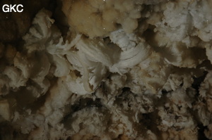 Grotte de Pixiaodong 皮硝洞 - réseau de Shuanghedong 双河洞 - (Wenquan, Suiyang 绥阳, Zunyi 遵义市, Guizhou 贵州省, Chine 中国).