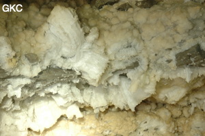 Grotte de Pixiaodong 皮硝洞 - réseau de Shuanghedong 双河洞 - (Wenquan, Suiyang 绥阳, Zunyi 遵义市, Guizhou 贵州省, Chine 中国).