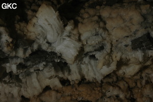 Grotte de Pixiaodong 皮硝洞 - réseau de Shuanghedong 双河洞 - (Wenquan, Suiyang 绥阳, Zunyi 遵义市, Guizhou 贵州省, Chine 中国).