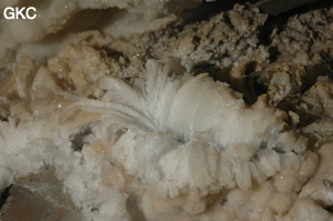 Grotte de Pixiaodong 皮硝洞 - réseau de Shuanghedong 双河洞 - (Wenquan, Suiyang 绥阳, Zunyi 遵义市, Guizhou 贵州省, Chine 中国).