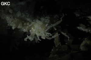 Grotte de Pixiaodong 皮硝洞 - réseau de Shuanghedong 双河洞 - (Wenquan, Suiyang 绥阳, Zunyi 遵义市, Guizhou 贵州省, Chine 中国).