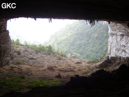 Qiaoluoshuidong