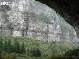 Caigangdong