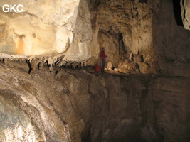 Grotte de Caigangdong 菜缸洞 (Fuyan 桴焉, Zheng'an 正安, Zunyi Shi 遵义市, Guizhou 贵州省,  Chine 中国).