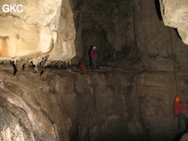 Grotte de Caigangdong 菜缸洞 (Fuyan 桴焉, Zheng'an 正安, Zunyi Shi 遵义市, Guizhou 贵州省,  Chine 中国).