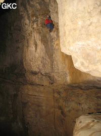 Grotte de Caigangdong 菜缸洞 (Fuyan 桴焉, Zheng'an 正安, Zunyi Shi 遵义市, Guizhou 贵州省,  Chine 中国).