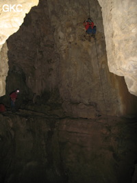 Grotte de Caigangdong 菜缸洞 (Fuyan 桴焉, Zheng'an 正安, Zunyi Shi 遵义市, Guizhou 贵州省,  Chine 中国).