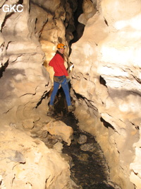 Grotte de Caigangdong 菜缸洞 (Fuyan 桴焉, Zheng'an 正安, Zunyi Shi 遵义市, Guizhou 贵州省,  Chine 中国).