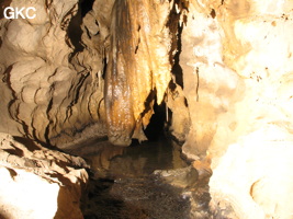 Grotte de Caigangdong 菜缸洞 (Fuyan 桴焉, Zheng'an 正安, Zunyi Shi 遵义市, Guizhou 贵州省,  Chine 中国).