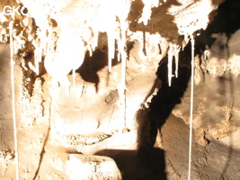 Grotte de Caigangdong 菜缸洞 (Fuyan 桴焉, Zheng'an 正安, Zunyi Shi 遵义市, Guizhou 贵州省,  Chine 中国).