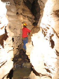 Grotte de Caigangdong 菜缸洞 (Fuyan 桴焉, Zheng'an 正安, Zunyi Shi 遵义市, Guizhou 贵州省,  Chine 中国).