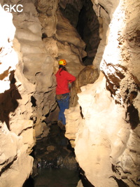 Grotte de Caigangdong 菜缸洞 (Fuyan 桴焉, Zheng'an 正安, Zunyi Shi 遵义市, Guizhou 贵州省,  Chine 中国).