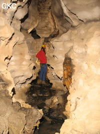 Grotte de Caigangdong 菜缸洞 (Fuyan 桴焉, Zheng'an 正安, Zunyi Shi 遵义市, Guizhou 贵州省,  Chine 中国).