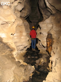 Grotte de Caigangdong 菜缸洞 (Fuyan 桴焉, Zheng'an 正安, Zunyi Shi 遵义市, Guizhou 贵州省,  Chine 中国).